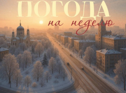 Резкое похолодание настигнет Воронеж на грядущей неделе 