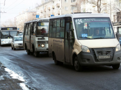 В Воронеже может подешеветь проезд в маршрутках