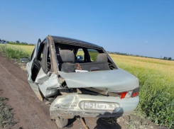  Две девочки пострадали в аварии на грунтовой дороге в Воронежской области 