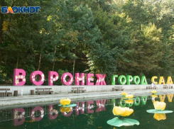 Опубликовано расписание мероприятий на фестивале «Город-сад» в 2023 году 