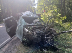 Ночная авария унесла сразу две жизни в Воронежской области 