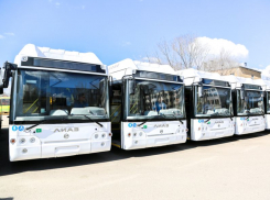 Маршруты двух воронежских автобусов решили изменить