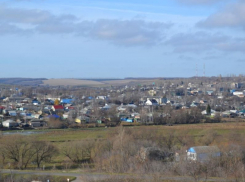 Определен глава Нижнедевицкого района Воронежской области