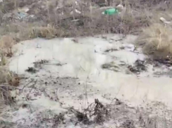 Новые подробности скандала с бетонной мегалужей рассказали в воронежском минприроды