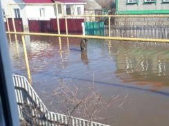 Опубликовано фото страшного потопа в воронежском Калаче