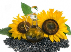 В Воронеже обнаружили 20 тонн  подозрительных семян подсолнечника