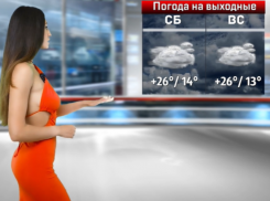 Гребень антициклона продиктует погоду на последних выходных июля в Воронеже 