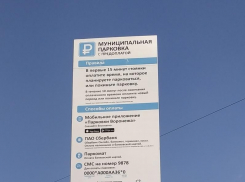Мэрии Воронежа посоветовали попрощаться с «Городскими парковками»