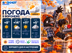 Без дождя: прогноз погоды в Воронеже