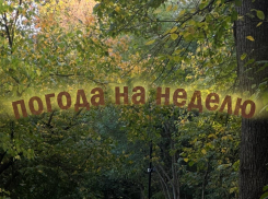 Испытание на прочность: как погода проверит воронежцев на следующей неделе