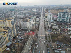 Массовую кампанию по озеленению анонсировали при прокладке Московского проспекта в Воронеже