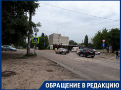 Не хочу стать калекой, – жительница Воронежа о единственной зебре