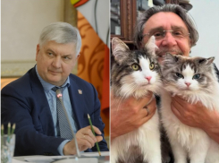 Воронежскому губернатору рекомендовали «отменить» концерт Сергея Шнурова 