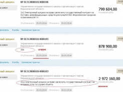 Управление госзаказа правительства области решило сделать конкурс на 900 тысяч рублей для своих?