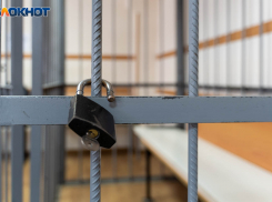 Жительница Воронежа пожаловалась Бастрыкину на пытки сына в СИЗО