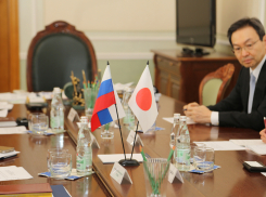 Воронежские власти в очередной раз обсуждали с японцами строительство метро