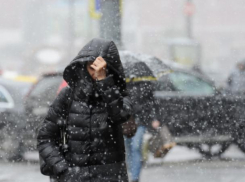 Короткая рабочая неделя в Воронеже завершится снегом 