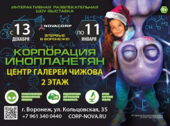 Чем заняться на каникулах в Воронеже?