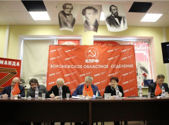 Проснулись: воронежские коммунисты покритиковали единороссов за купленные выборы-2020