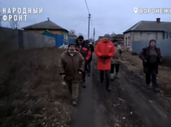 Люди умирают и ломают ноги: безразличие чиновников довело воронежцев до президентского движения 