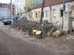 Фрагменты посуды XVIII века нашли при реставрации Дома Гарденина в Воронеже