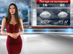 Последние выходные января удивят воронежцев резким потеплением 