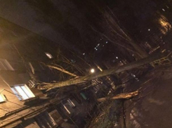 Ураган в Воронеже повалил деревья на детский сад, дома и машины