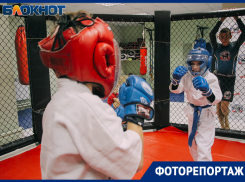 Ладонь превратилась в кулак: как прокладывают путь к вершинам MMA в Воронеже