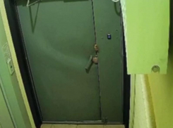 Любовь без преград попала на видео в воронежском ЖК