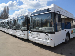  77 новых автобусов оформляют для передачи воронежским школам