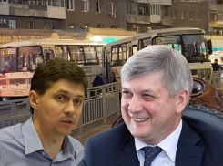 Жертвой темных правительственных опросов о повышении проезда выставил себя главред «МОЁ!»