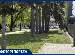 Последствия чиновничьего субботника показали на фото в Воронеже