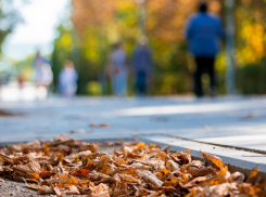 Сентябрь начнется с резкого похолодания в Воронеже