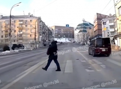 Пешехода с девятью жизнями нашли в Воронеже 