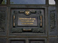 Верховный суд подтвердил уголовное дело в отношении воронежской судьи Светланы Мальцевой