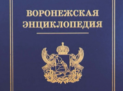 В Никитинской библиотеке представили новую универсальную «Воронежскую энциклопедию»