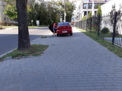 Женская парковка спровоцировала воронежца на ябедничество