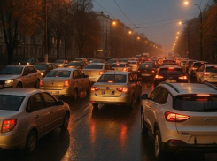 Воронежские власти повторно объяснили передачу региону «Центра организации дорожного движения»