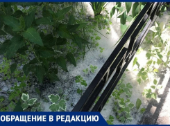 Может полыхнуть в любой момент: воронежцы бьют тревогу из-за «майского снега»