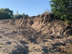 Подозрительный подъезд к памятнику природы заметили экологи в Воронежской области