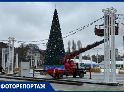 Новый год к нам мчится: как сейчас выглядит Адмиралтейская площадь с катком и бесплатной елкой 