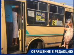 Утреннее испытание маршрутками показали в Воронеже