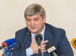 Почему Александр Гусев и воронежские чиновники не спешат раскрывать свои доходы за 2014 год