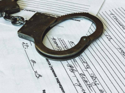 Еще двух участников запрещенных Свидетелей Иеговы арестовали в Воронеже