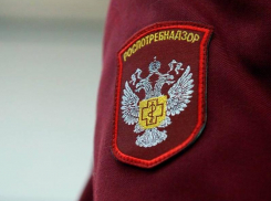 Стали известны результаты проверки завода «Ника-Петротэк» под Воронежем