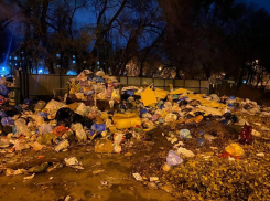 «Хочу выразить благодарность УК»: гигантскую стихийную свалку показали на видео в Воронеже