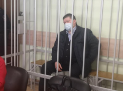 Скандального вице-спикера Провоторова отпустили из-под домашнего ареста в Воронеже