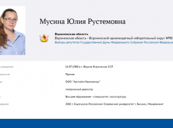 Продавец дверей отворила ворота праймериз по выборам в Госдуму в Воронежской области