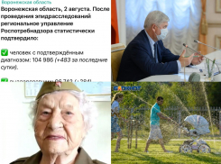 Коронавирус в Воронеже 2 августа: + 483 заразившихся, прирост заболеваемости, день ВДВ и наказания