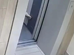 Паранормальное явление по-воронежски: страшный звук из лифта и что за ним скрывается показали на видео